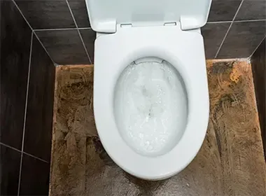 Desentupimento de Vaso Sanitário na Serra da Cantareira