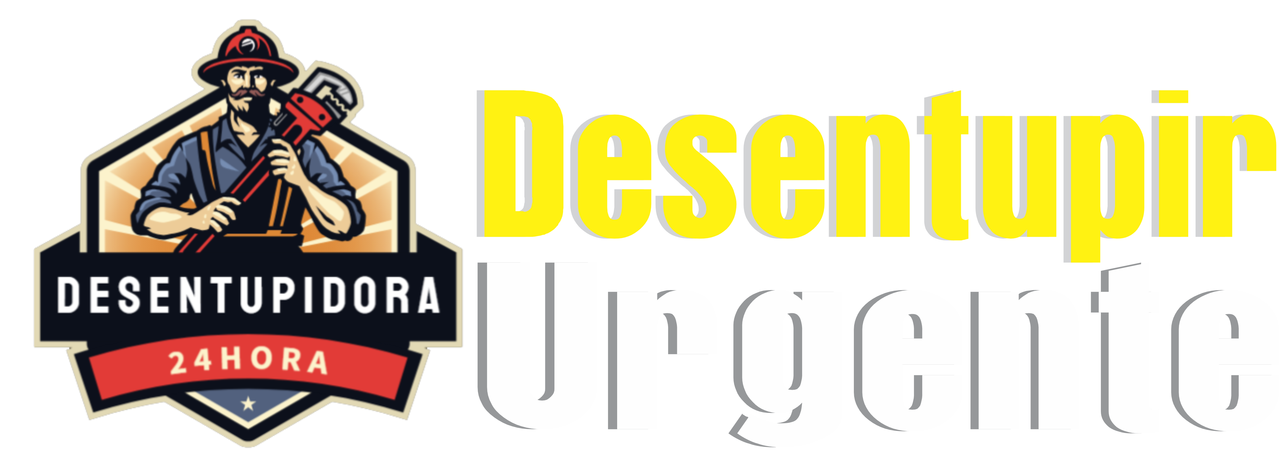 Freguesia Desentupidora